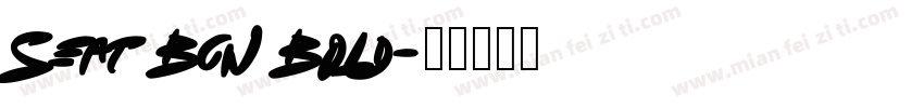 Seat Bcn Bold字体转换